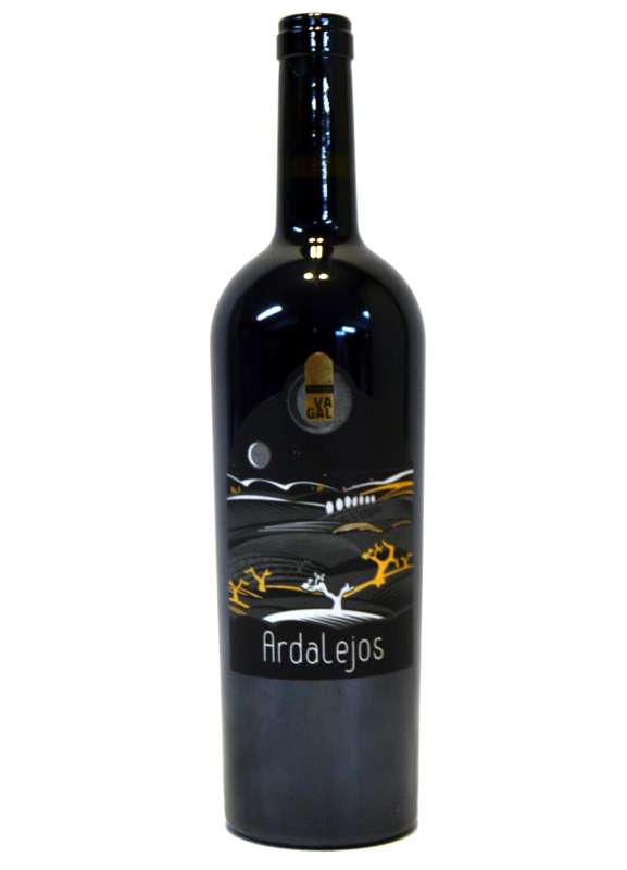  Áster Finca el Otero