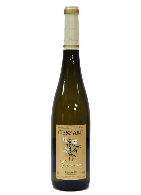  Gessami 2024 - 6 Uds. 