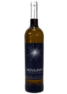 Baltvīns Novilunio Albariño