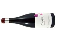 Sarkanvīns Corullón